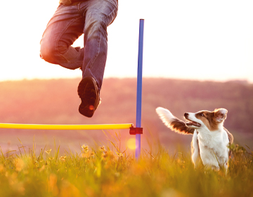 Hundesport
