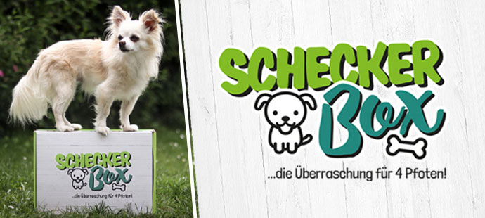 Schecker weiß was Hunde wollen >> Online Shop für Hunde Schecker weiß was Hunde wollen >> Online Shop für Hunde