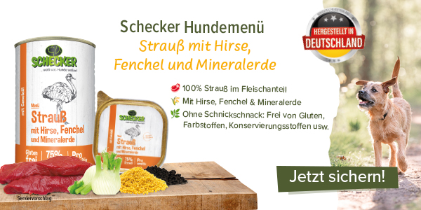 Schecker Hundemen Strauss