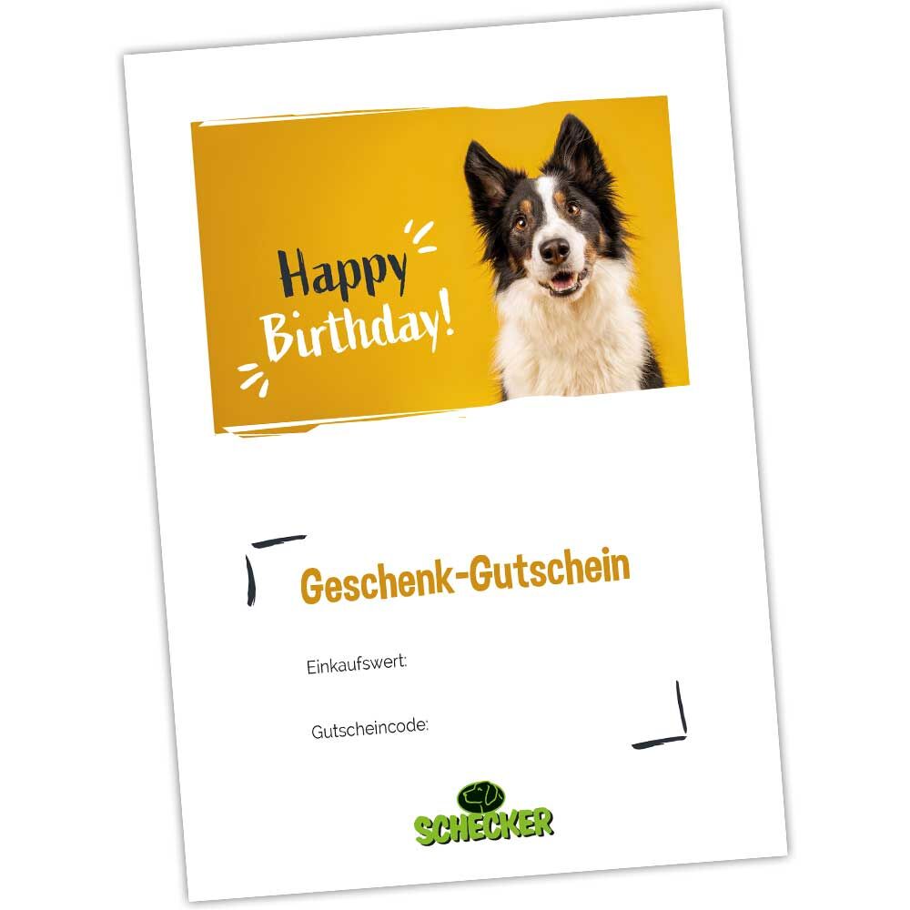 Geschenk-Gutschein zum Ausdrucken, Happy Birthday Bild 2