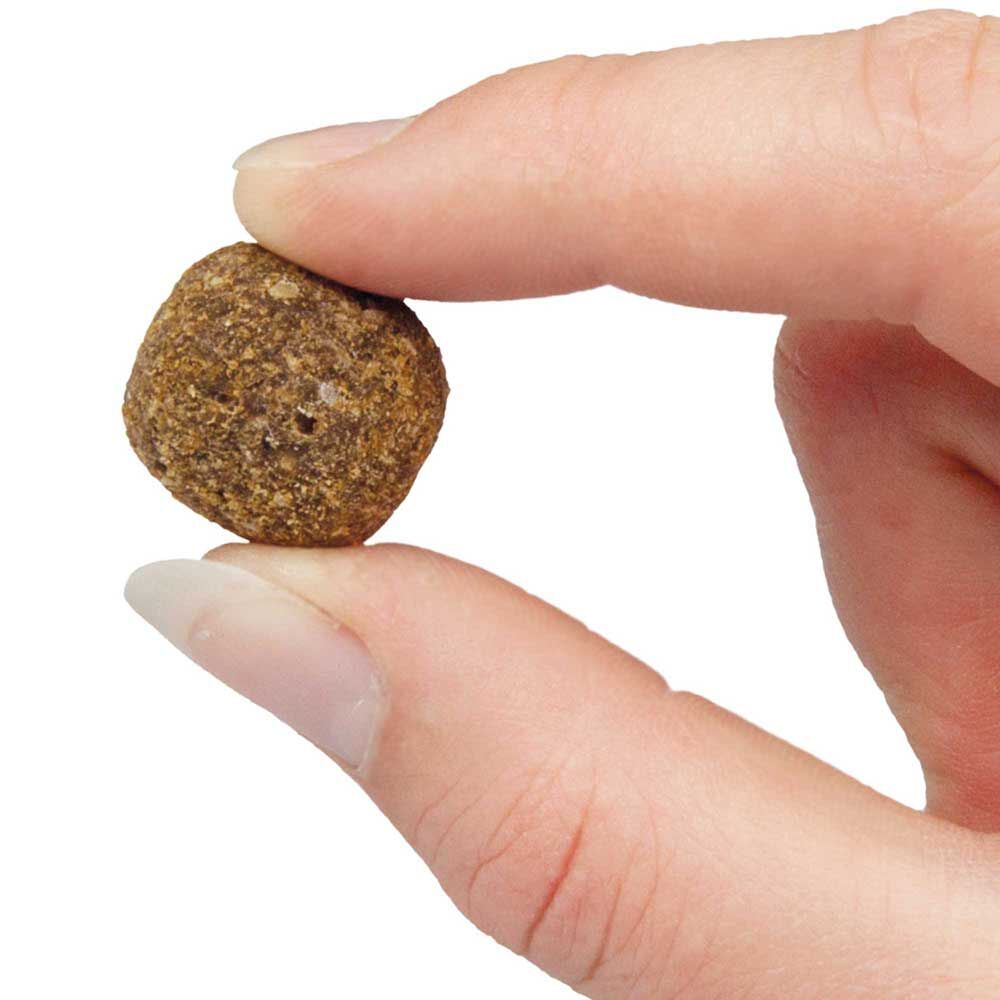Schecker Pferdetrffel mit Kokos und Cranberry Bild 4