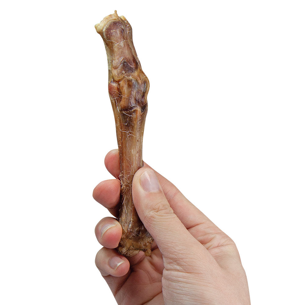 Hundesnack Ziegenknochen Bild 4