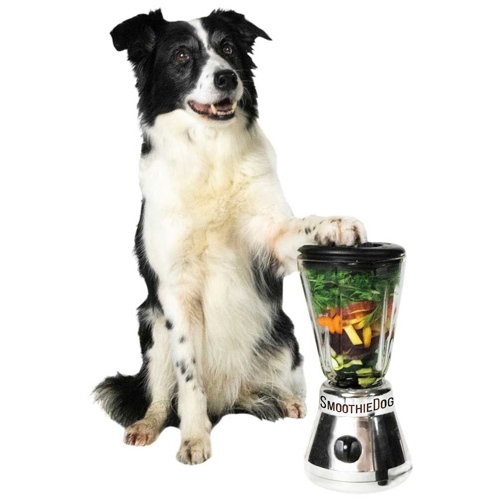 SmoothieDog Hundesmoothies Bild 5