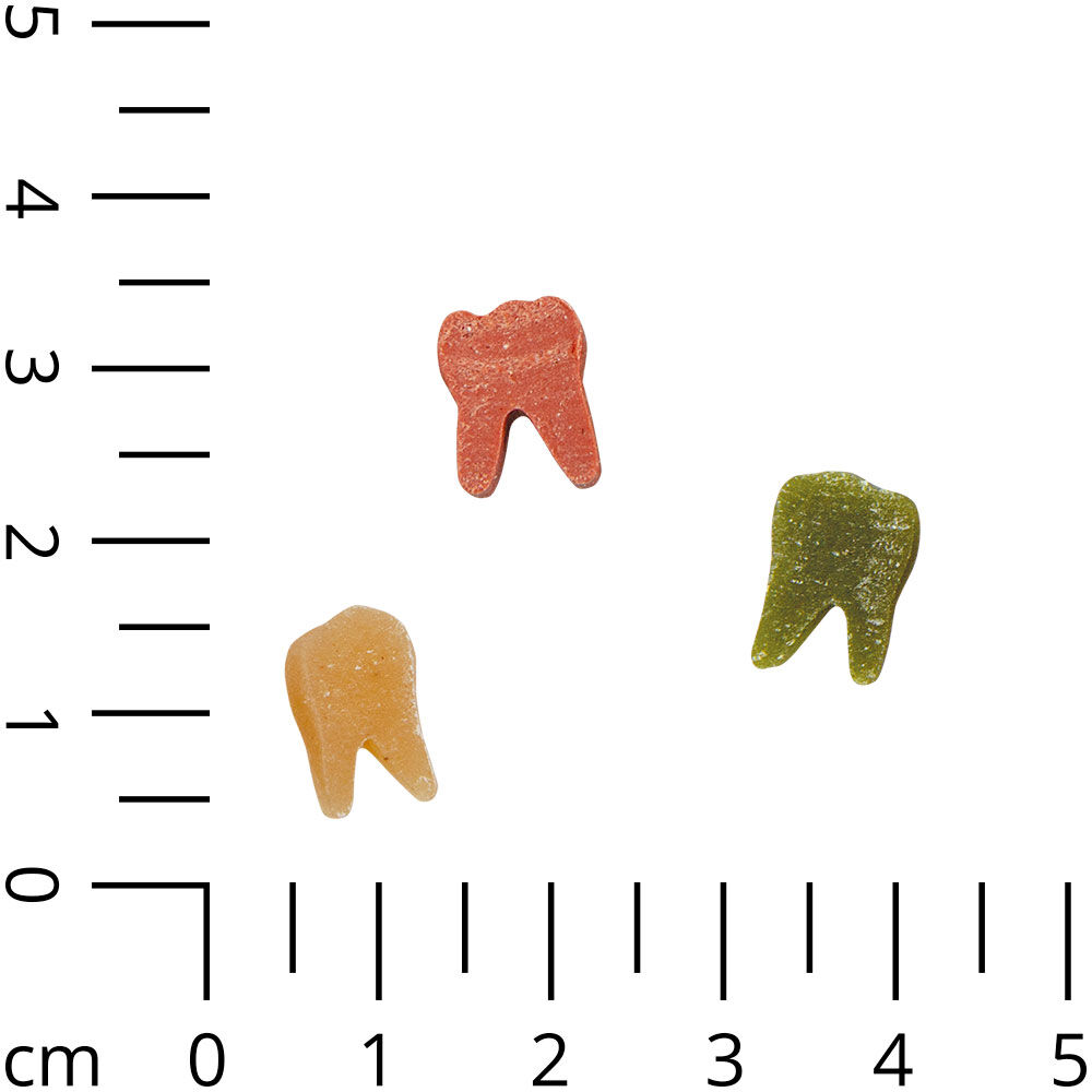 Dentogum Reiszhne-Mix Bild 4