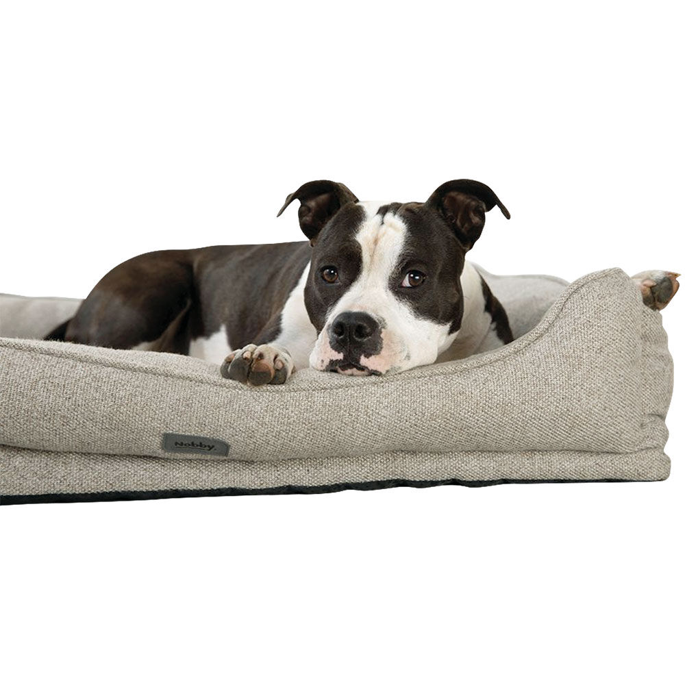 Nobby Orthopdisches Komfort-Bett Bild 4