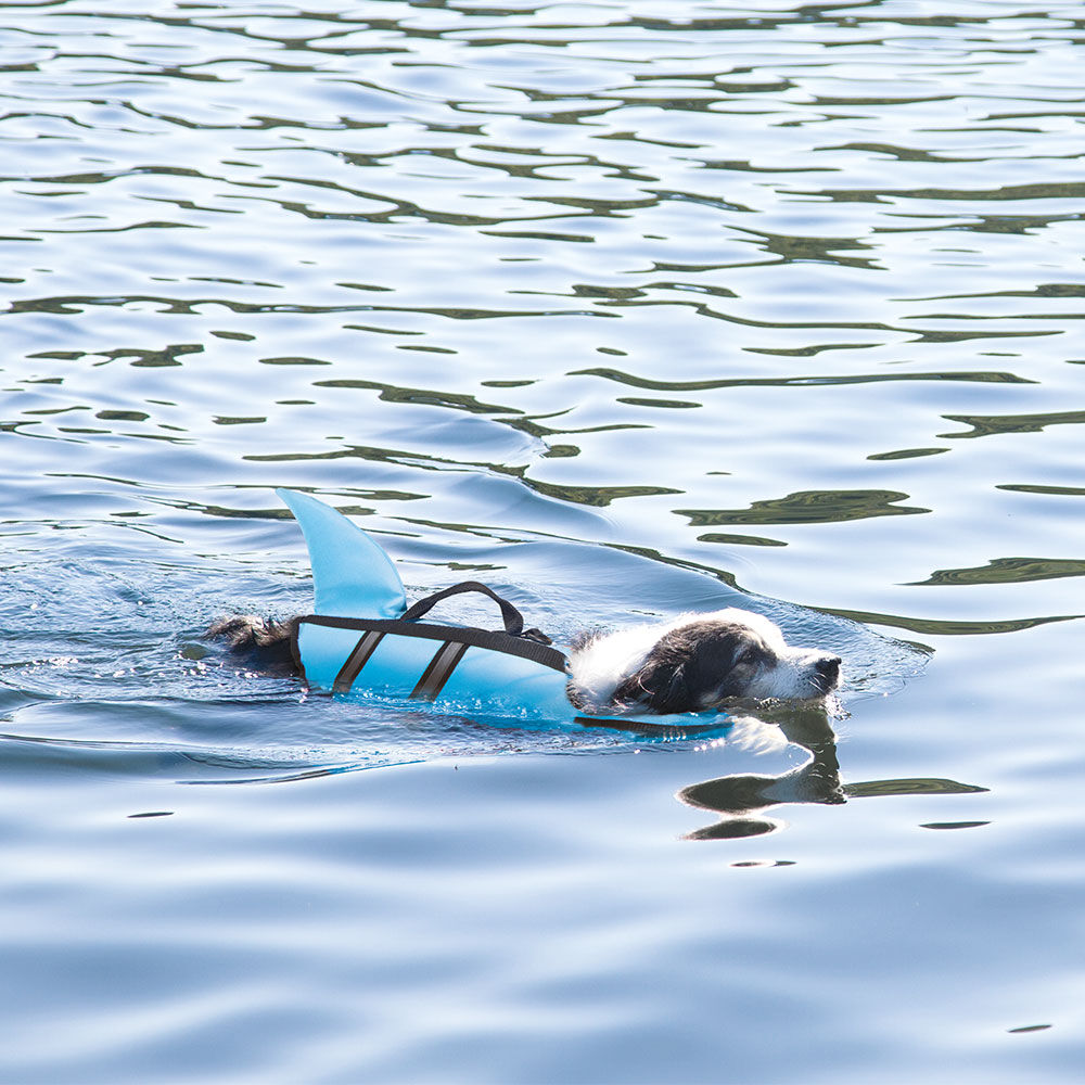Hunde Schwimmweste SHARKY Bild 4