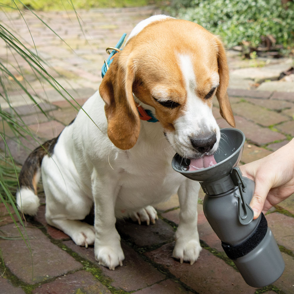 Hunde-Trinkflasche NIA Bild 4