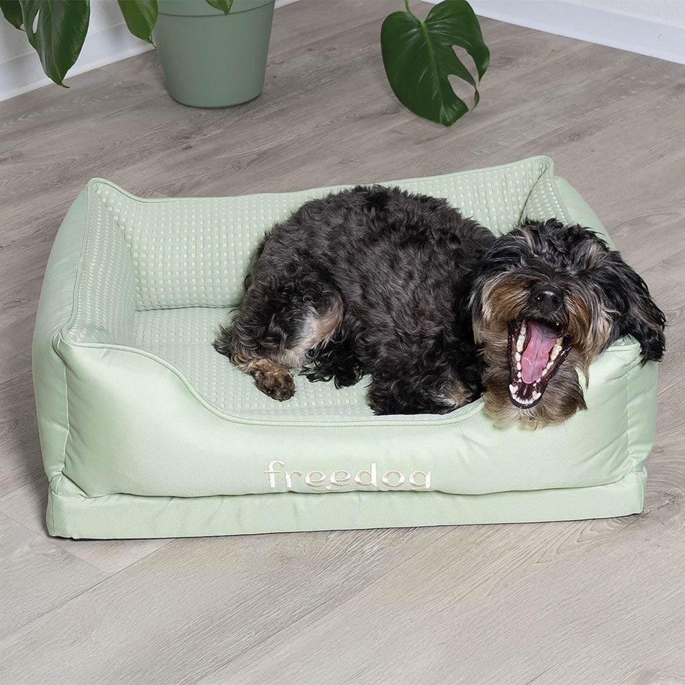 FREEDOG Glacial Cooling-Hundebett Bild 3