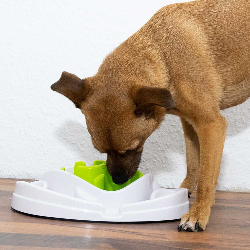 Food Maze - interaktiver Futternapf Bild 5