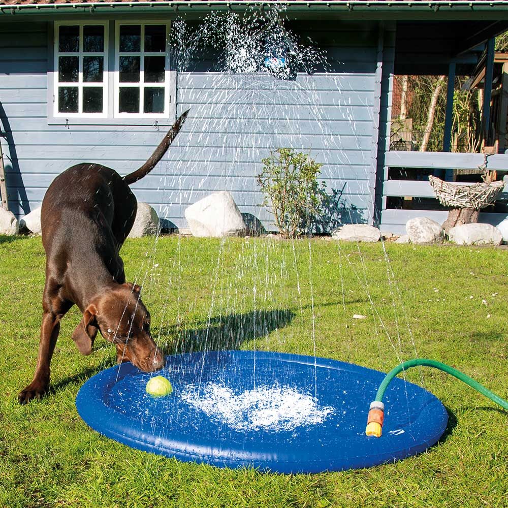 Nobby Hunde-Wasserspielmatte Splashy Mat Bild 2
