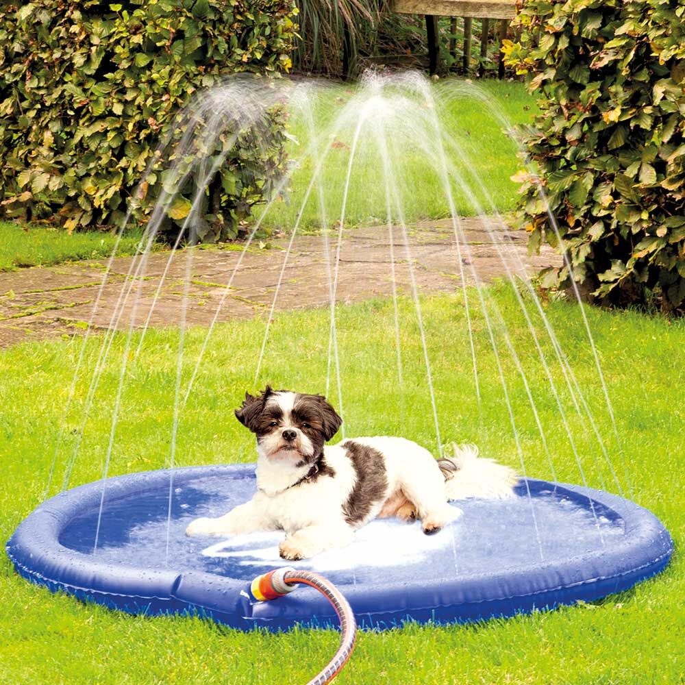 Nobby Hunde-Wasserspielmatte Splashy Mat Bild 3