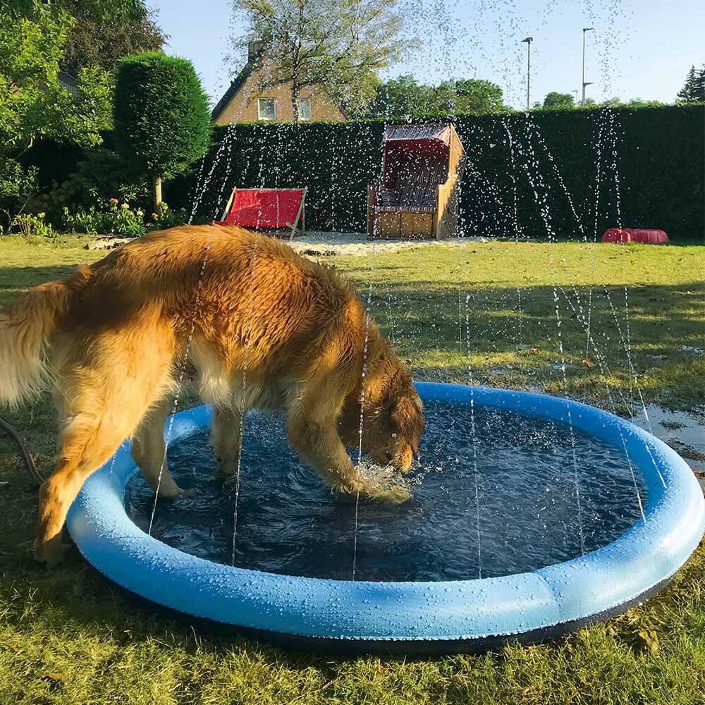 Hunde-Wasserspielmatte Splashy Mat Bild 5