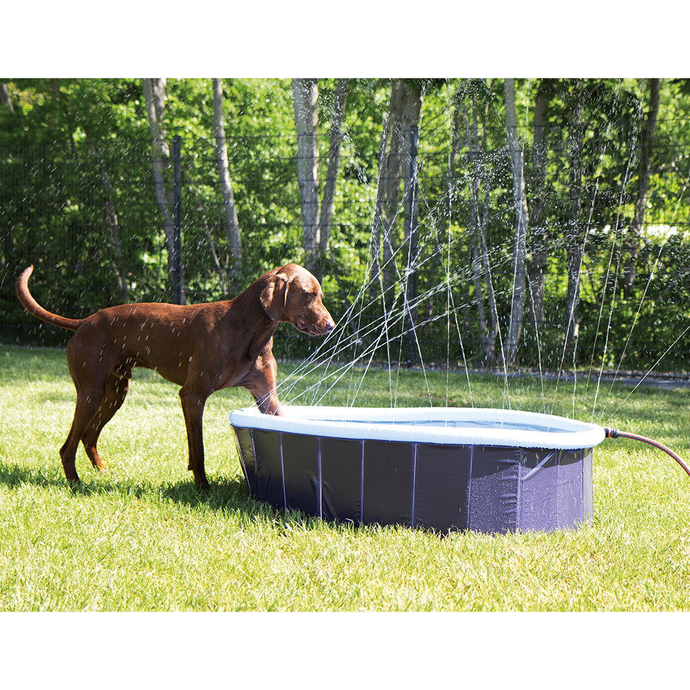 Nobby Splash Pool 2 in 1 Bild 2