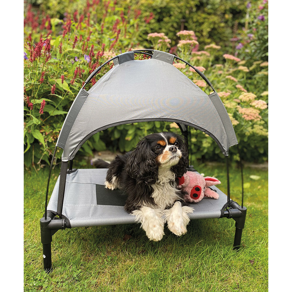 Nobby Hunde-Gartenliege Chill Cool Bild 5