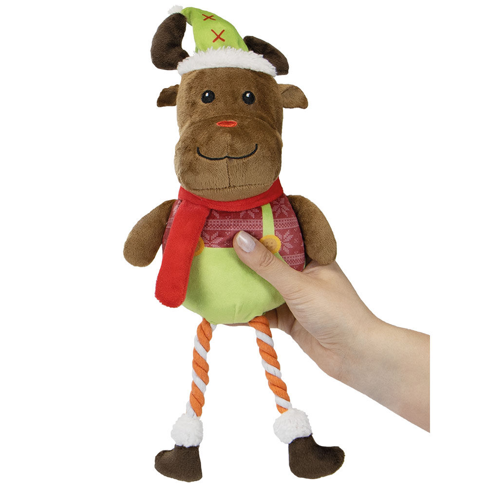 Weihnachtselch Funkie Bild 3