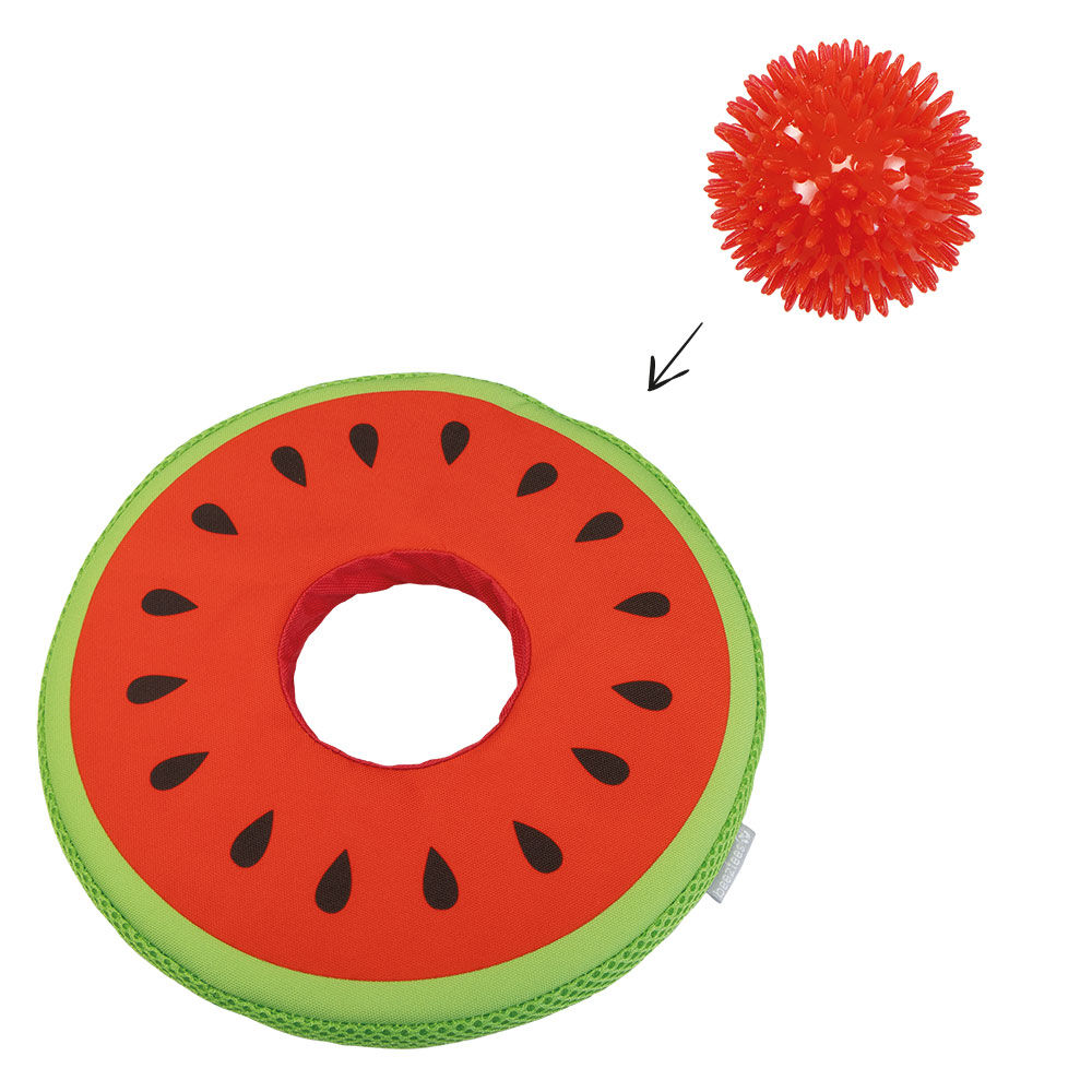 2in1 Frisbee Melone mit Noppenball Bild 3
