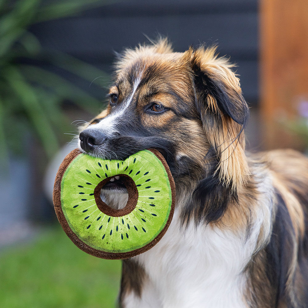 Hundespielzeug Fruity Donut Bild 2