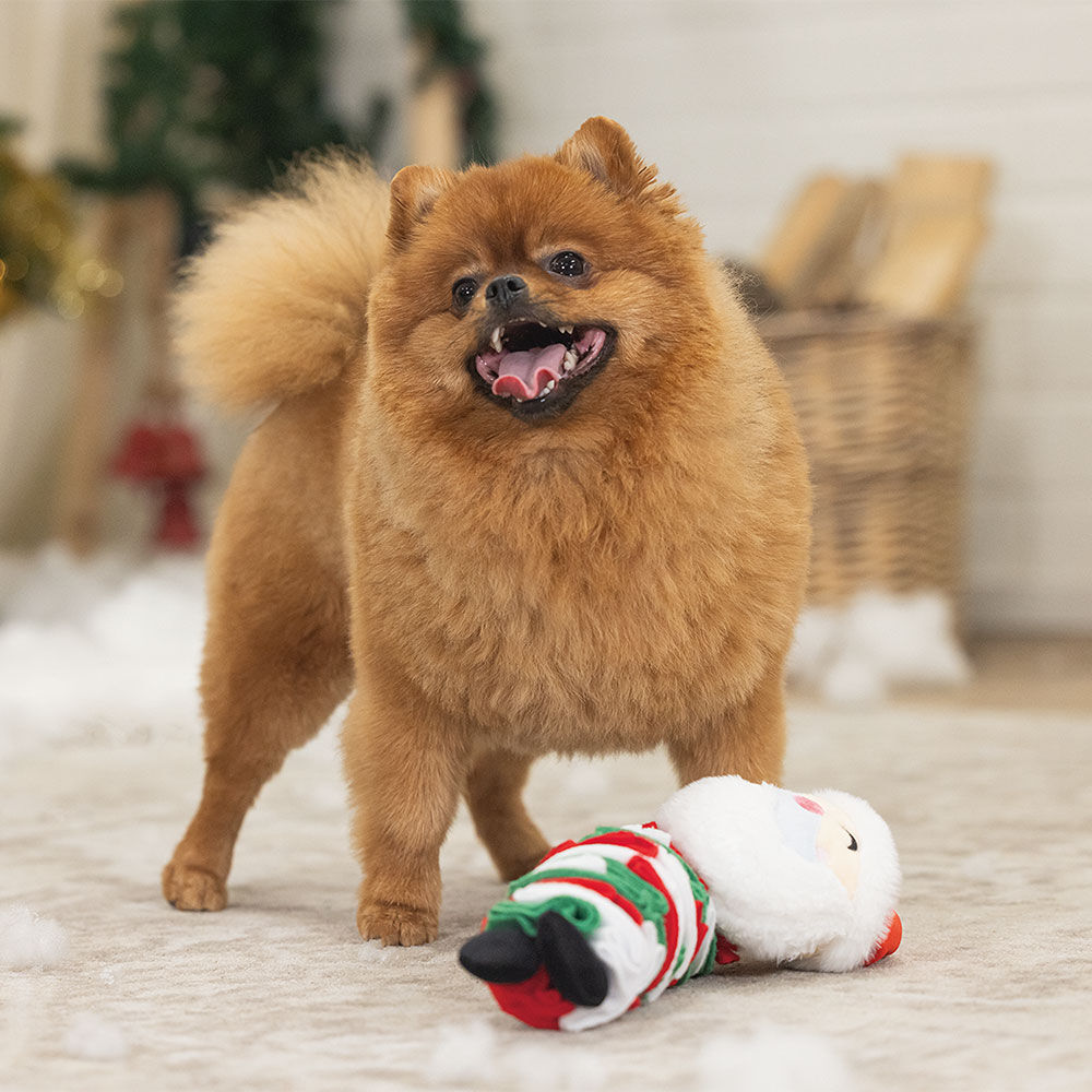 Beeztees Schnffel Weihnachtsmann Klaus Bild 2