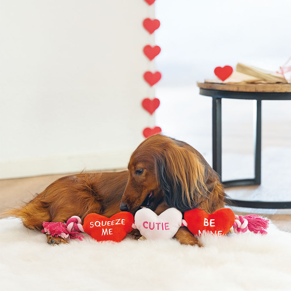 Karlie Hundespielzeug Baumwollliebe Bild 3