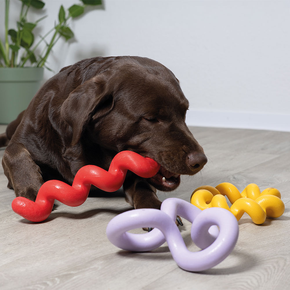 Coockoo Hundespielzeug Bild 3