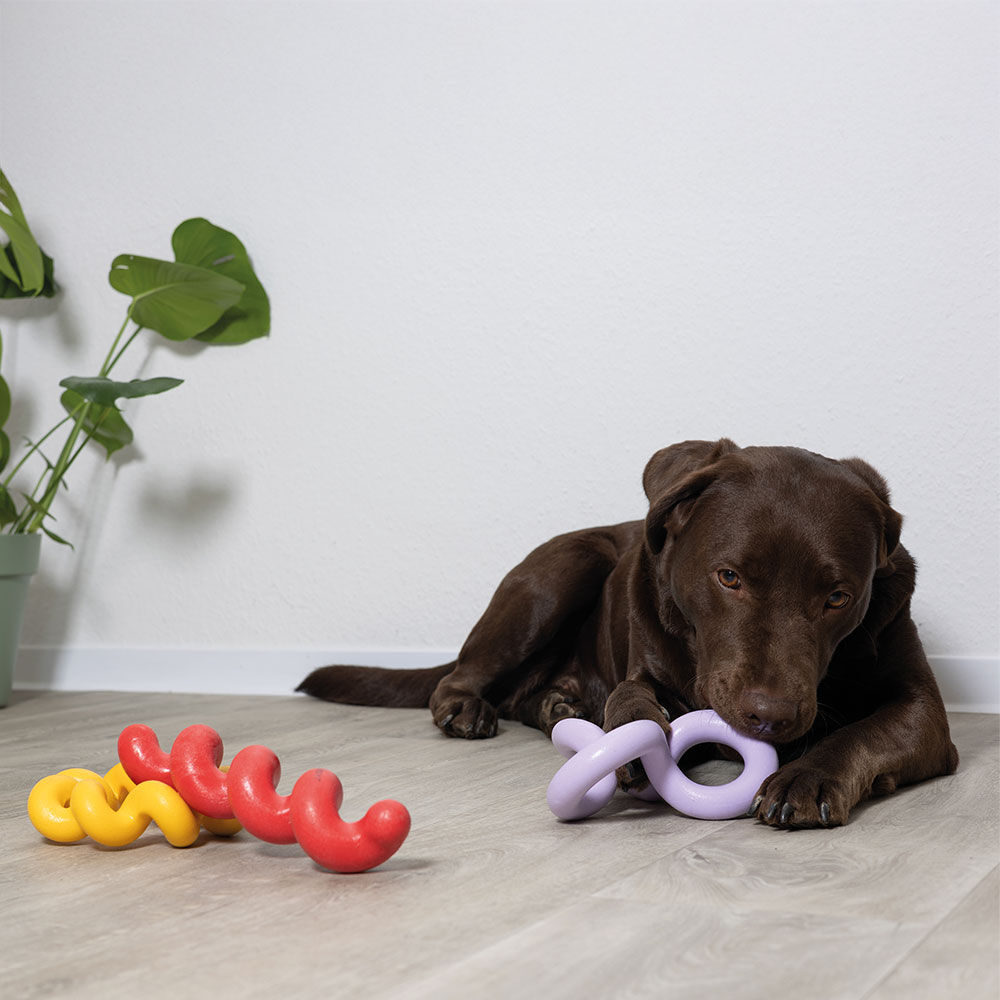 Coockoo Hundespielzeug Bild 5