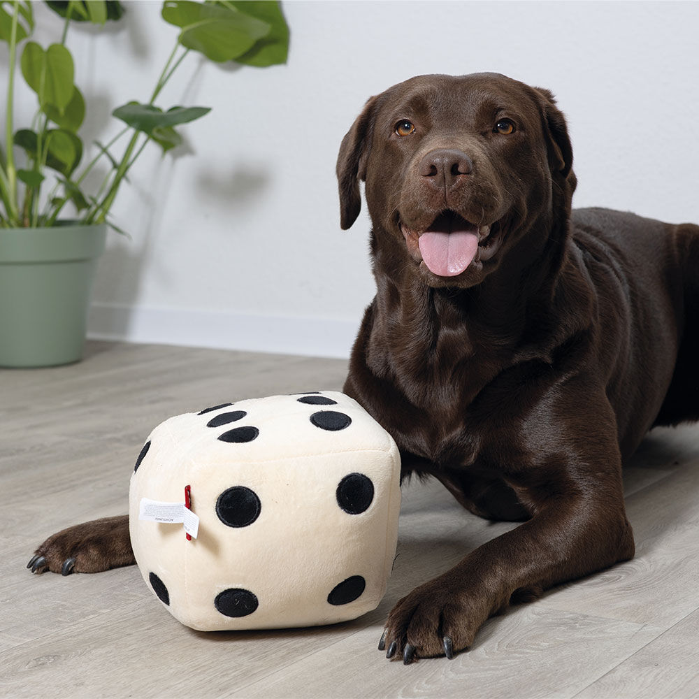 Coockoo Hundespielzeug Roll the Dice Bild 2