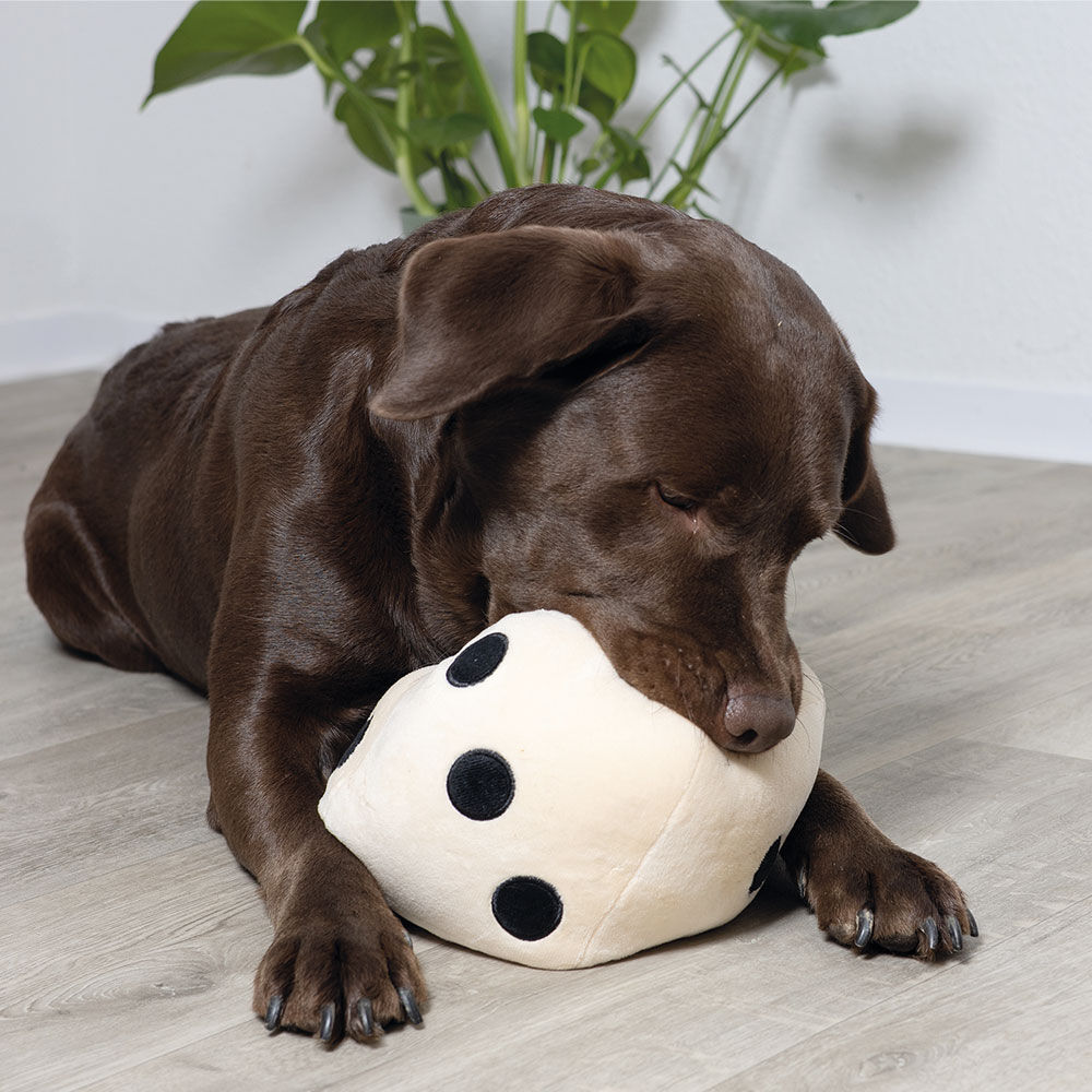 Coockoo Hundespielzeug Roll the Dice Bild 3