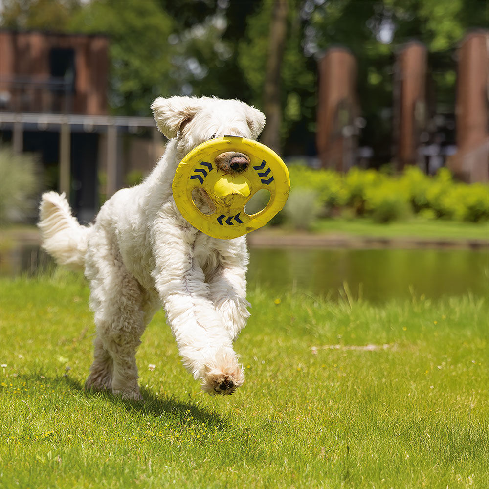 Beeztees Fetch Hundefrisbee Tof Bild 3
