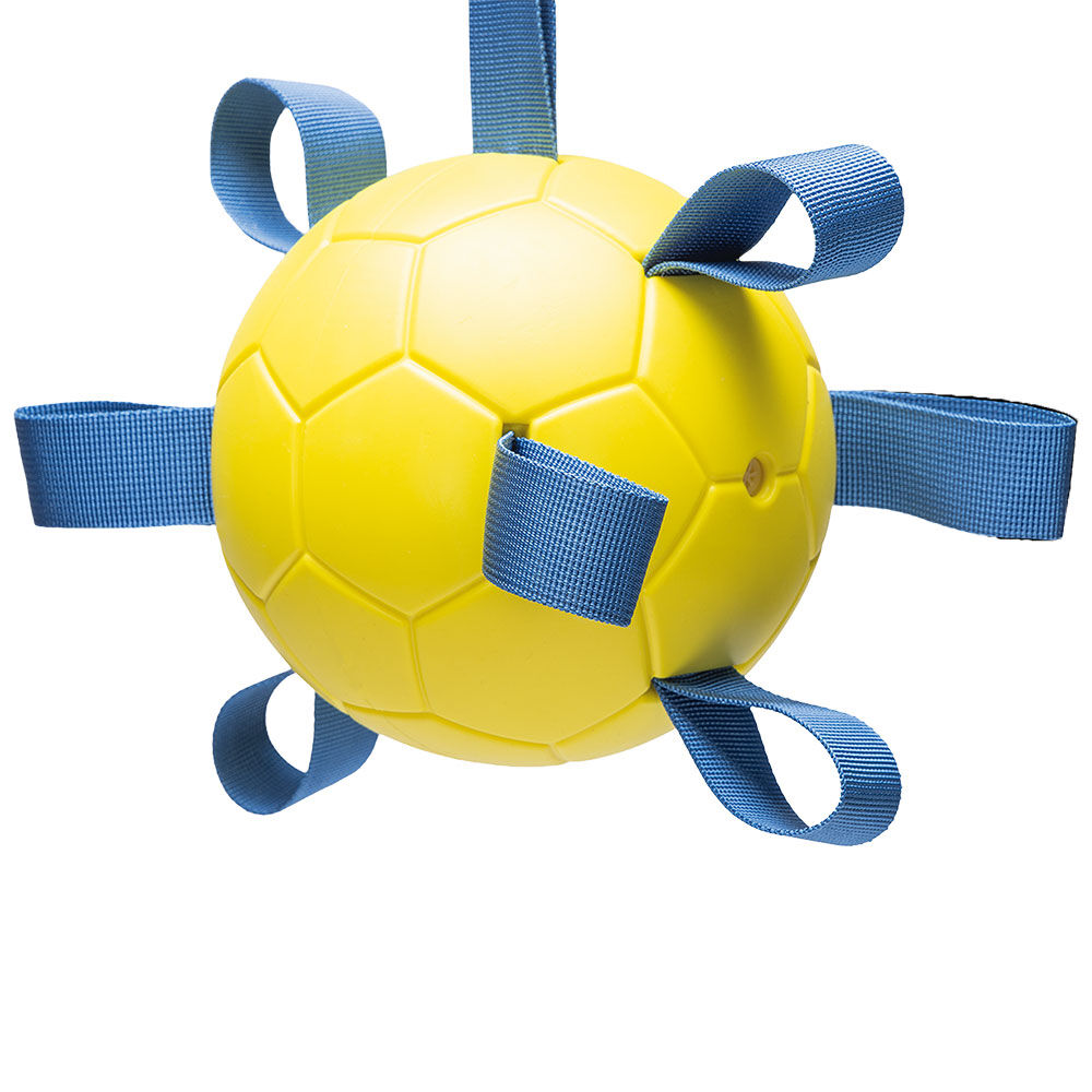 Beeztees Fetch Spielball Power Bild 3