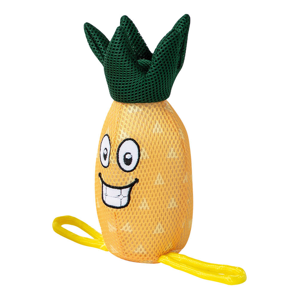 FREEDOG Mesh-Wasserspielzeug Ananas und Melone Bild 3