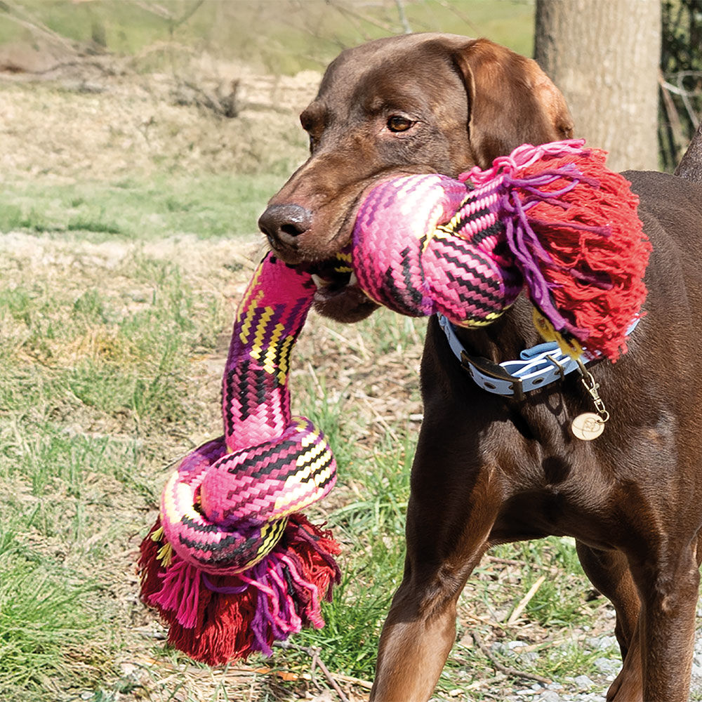 FREEDOG MaxiBone Hunde-Spieltau Bild 2
