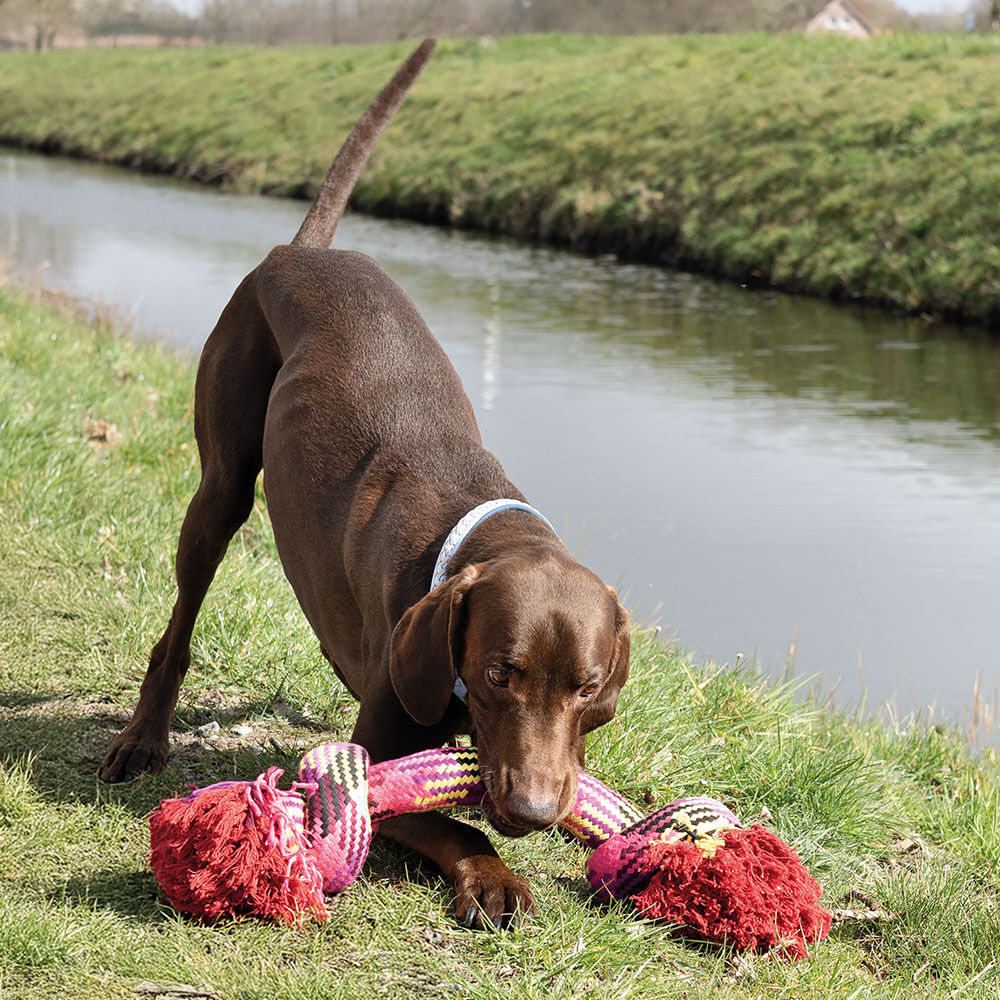 FREEDOG MaxiBone Hunde-Spieltau Bild 3
