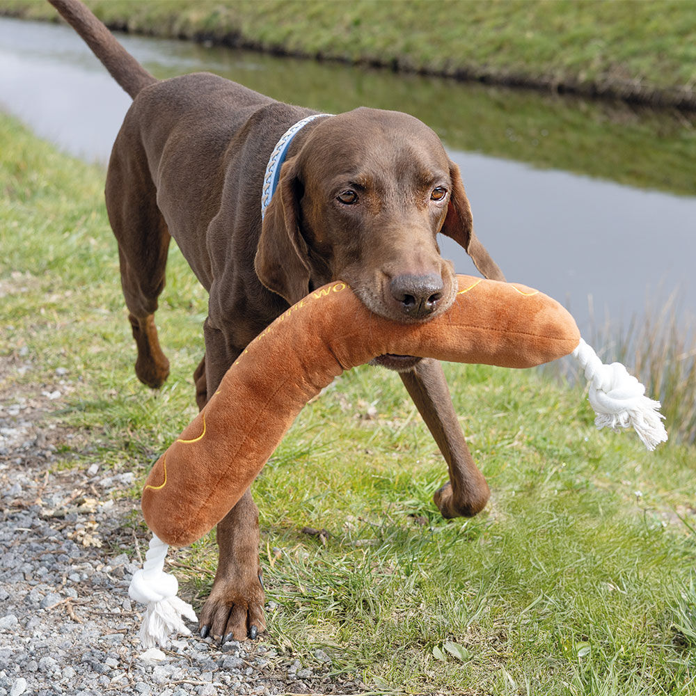 Beeztees Hundespielzeug BBQ Wurst mit Seil Bild 2