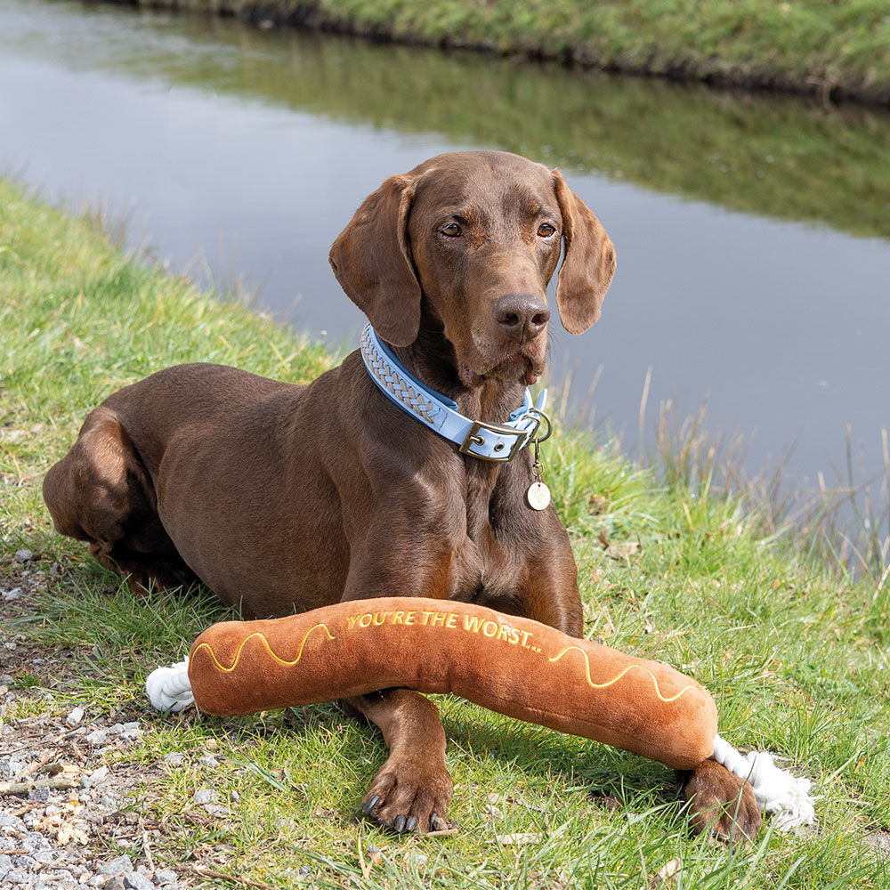 Beeztees Hundespielzeug BBQ Wurst mit Seil Bild 3