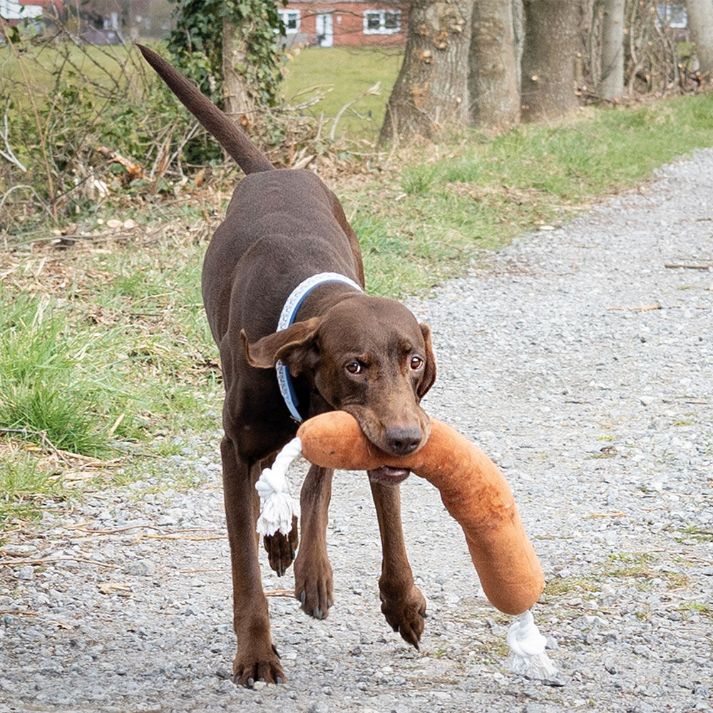 Beeztees Hundespielzeug BBQ Wurst mit Seil Bild 4