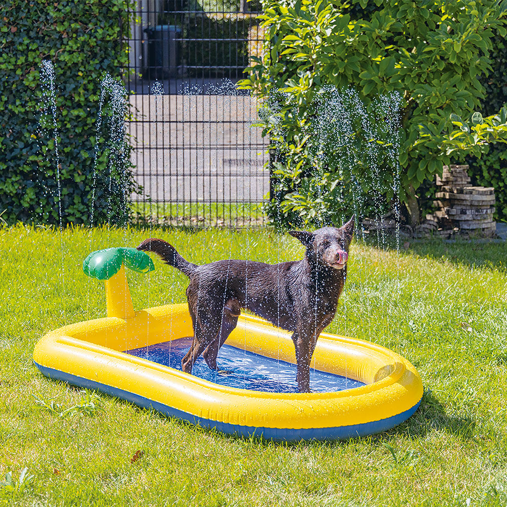 Beeztees Hundepool Palmy Bild 2