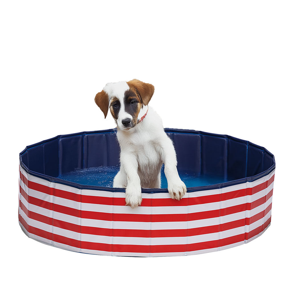 Beeztees Hundepool Doggy Dip Bild 4