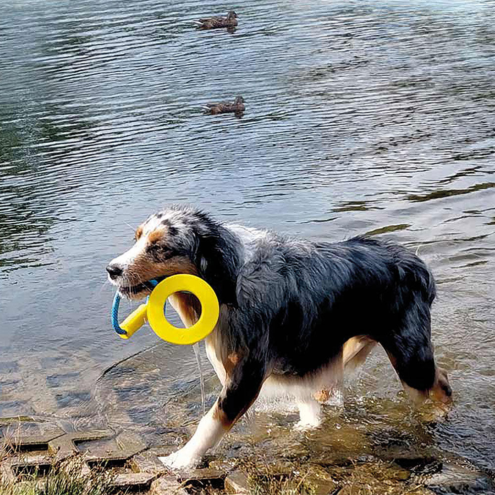 Nobby Hunde-Wasserspielzeug Ring mit Griff Bild 5