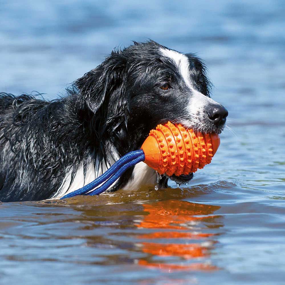 Karlie Hundespielzeug Boomer Aqua-Football Bild 5