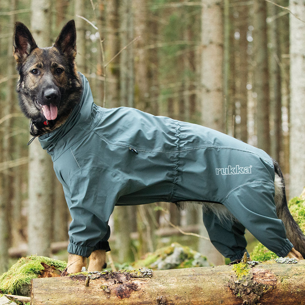 Rukka® Protect Hunde-Overall Bild 4