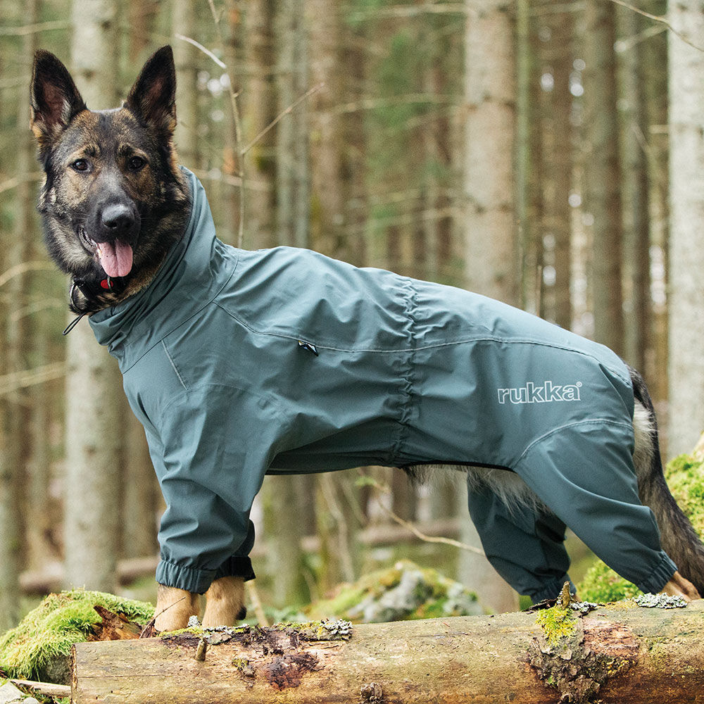 Rukka Protect Hunde-Overall Bild 4