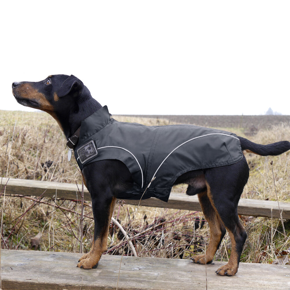 DogBite-Regenjacke - Farbe: schwarz Bild 4