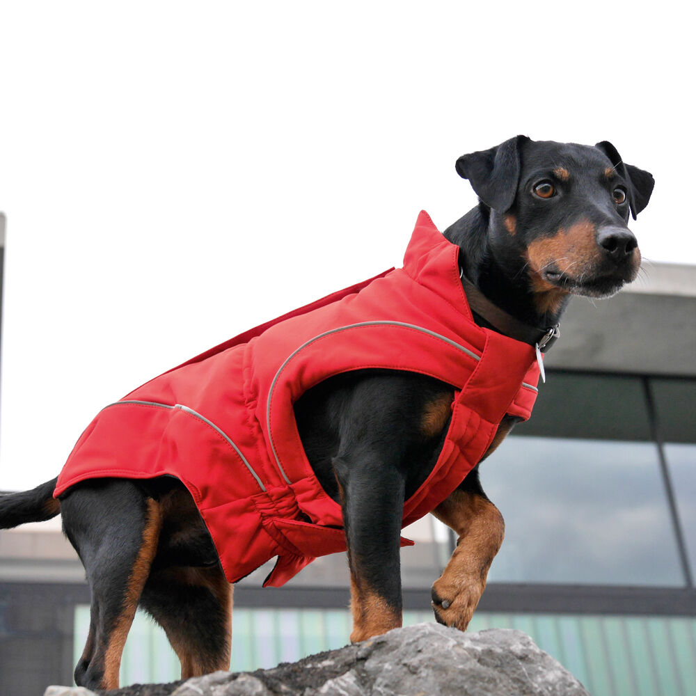 DogBite Hunde-Softshelljacke Bild 3
