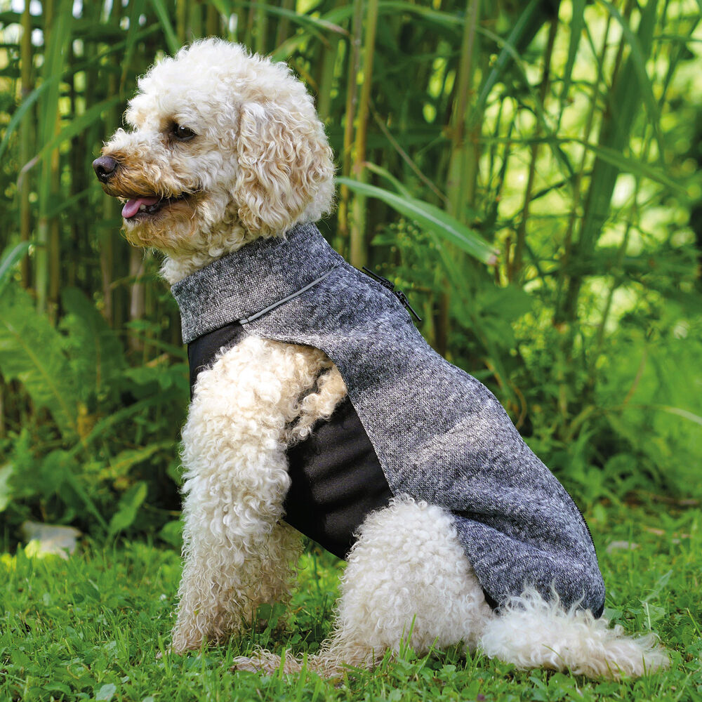 DogBite Sweat-Jacke Bild 2