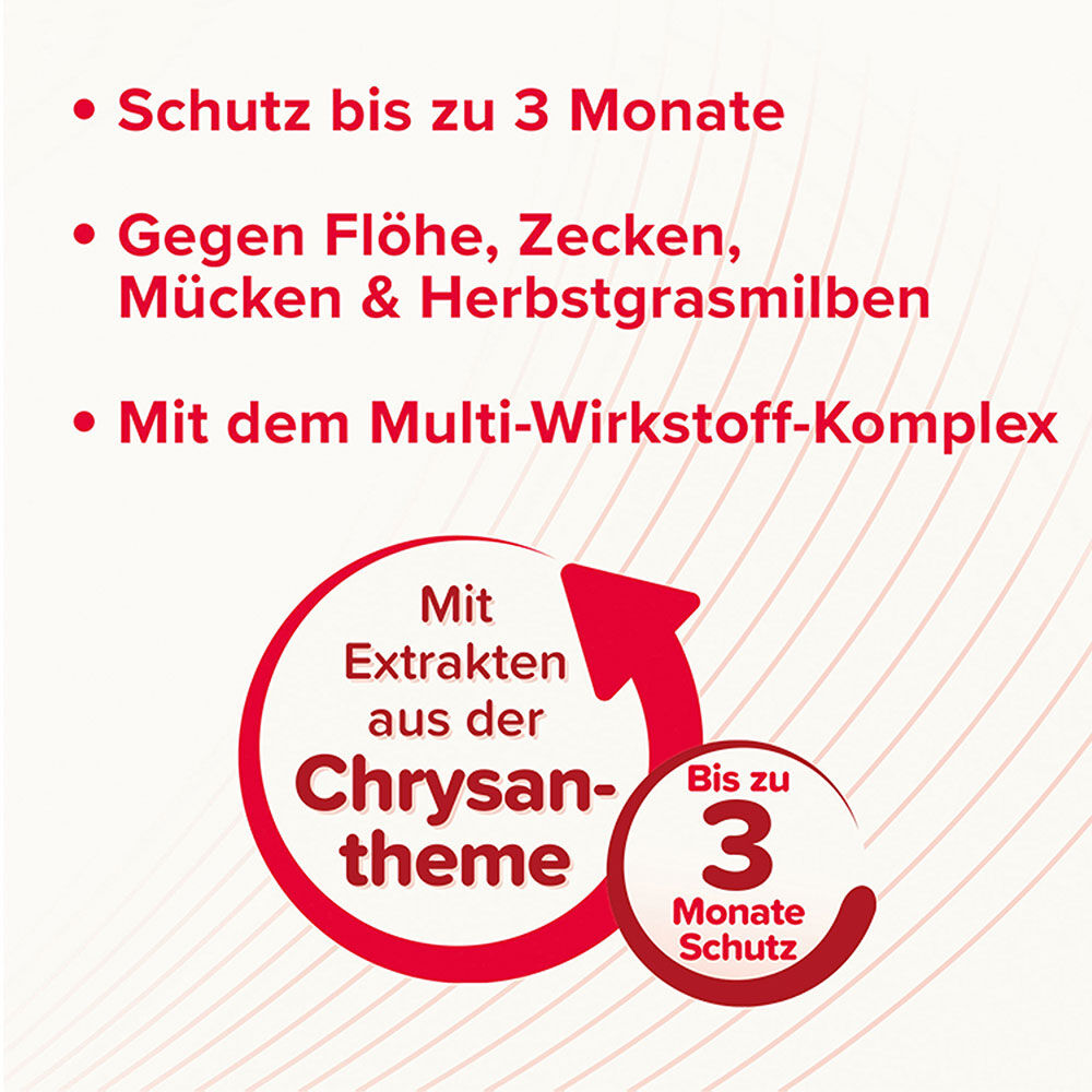 Beaphar Veto Plus Spot-on Bild 5