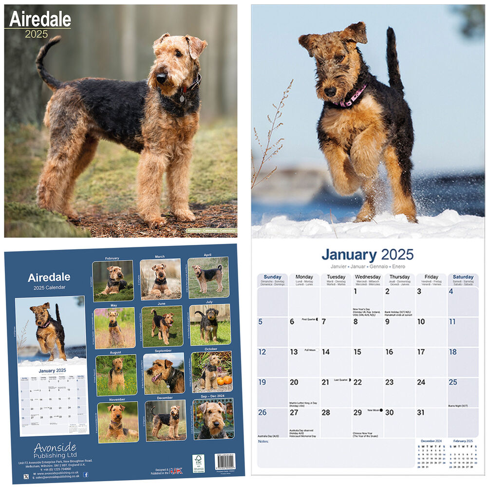 Rassekalender 2025 Bild 2