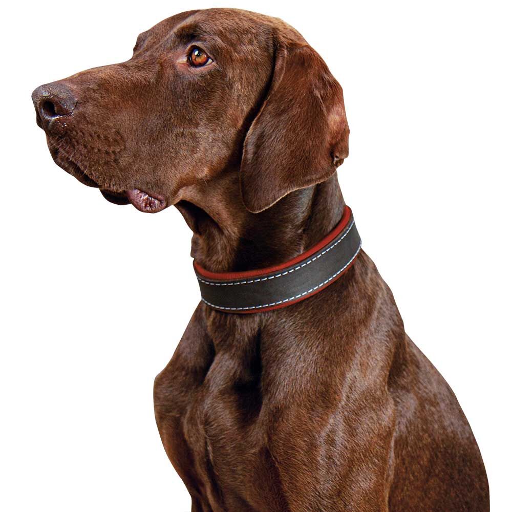 Schecker Hunde-Halsband Moorfeuer, Farbe: braun-feuerrot Bild 3