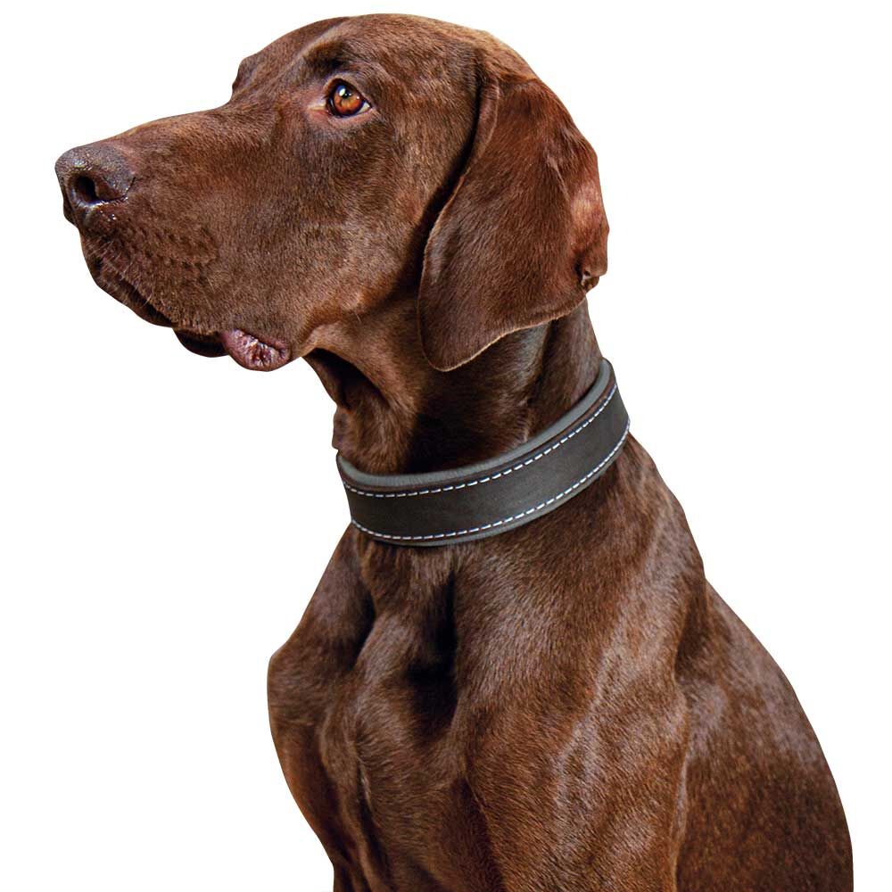 Schecker Hunde-Halsband Moorfeuer, Farbe: braun-himmel Bild 3