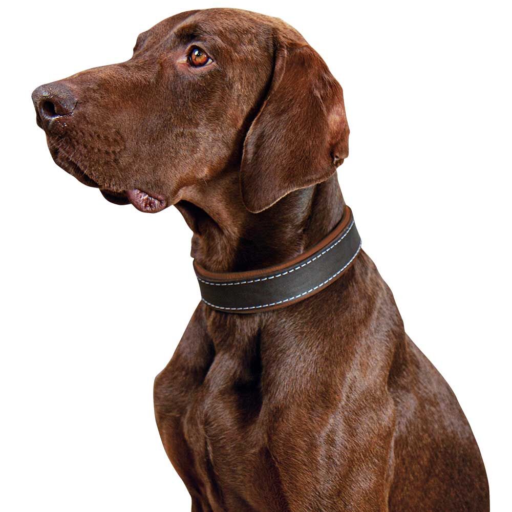 Schecker Hunde-Halsband Moorfeuer, Farbe: braun-cognac Bild 3
