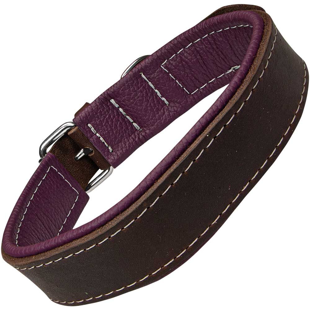 Schecker Hunde-Halsband Moorfeuer, Farbe: braun-violett Bild 2